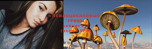 гидропоника Новодвинск