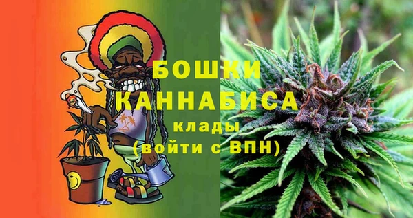 экстази Гусев